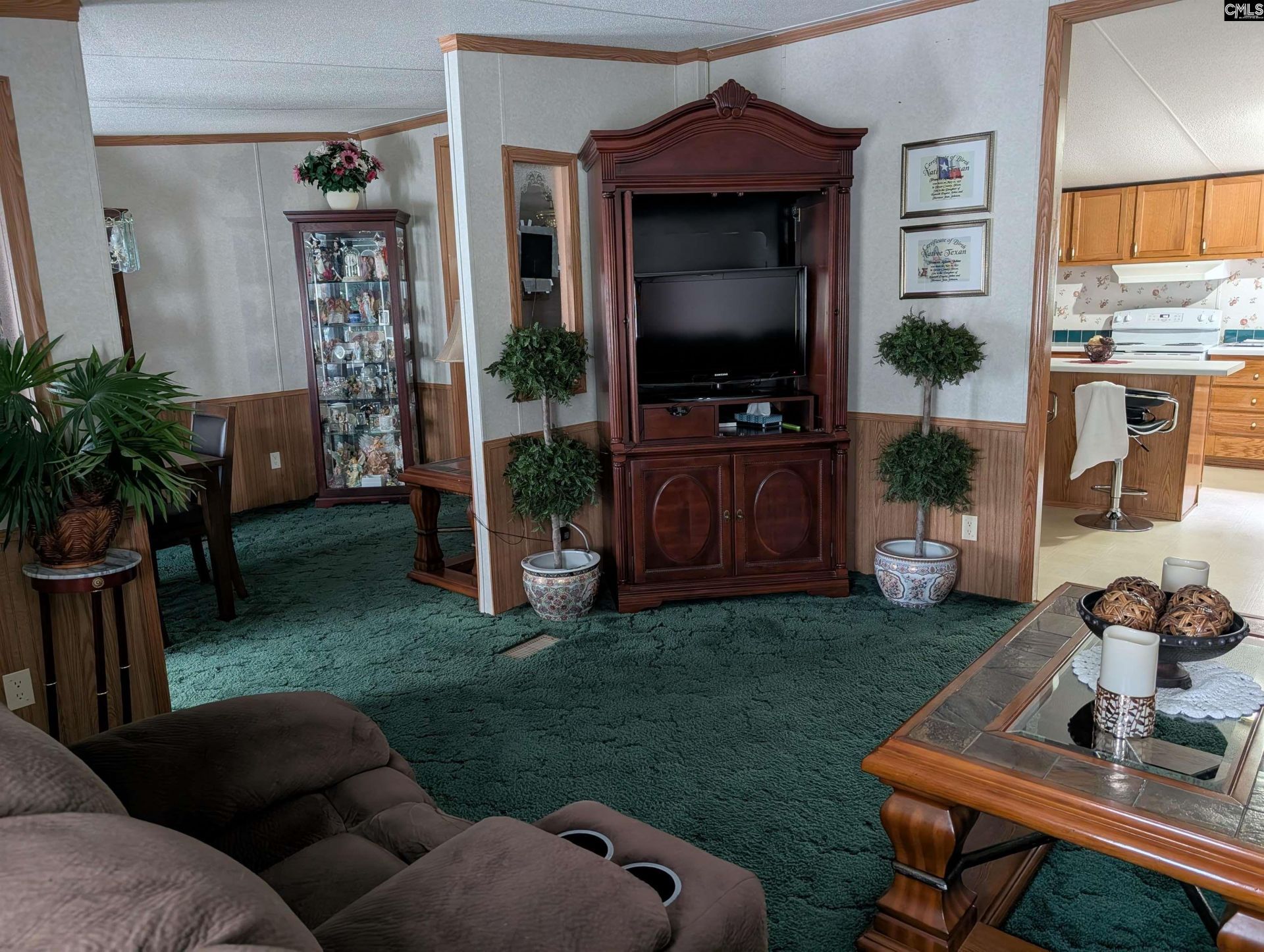 113 Hass Lucas Road  Photo 19