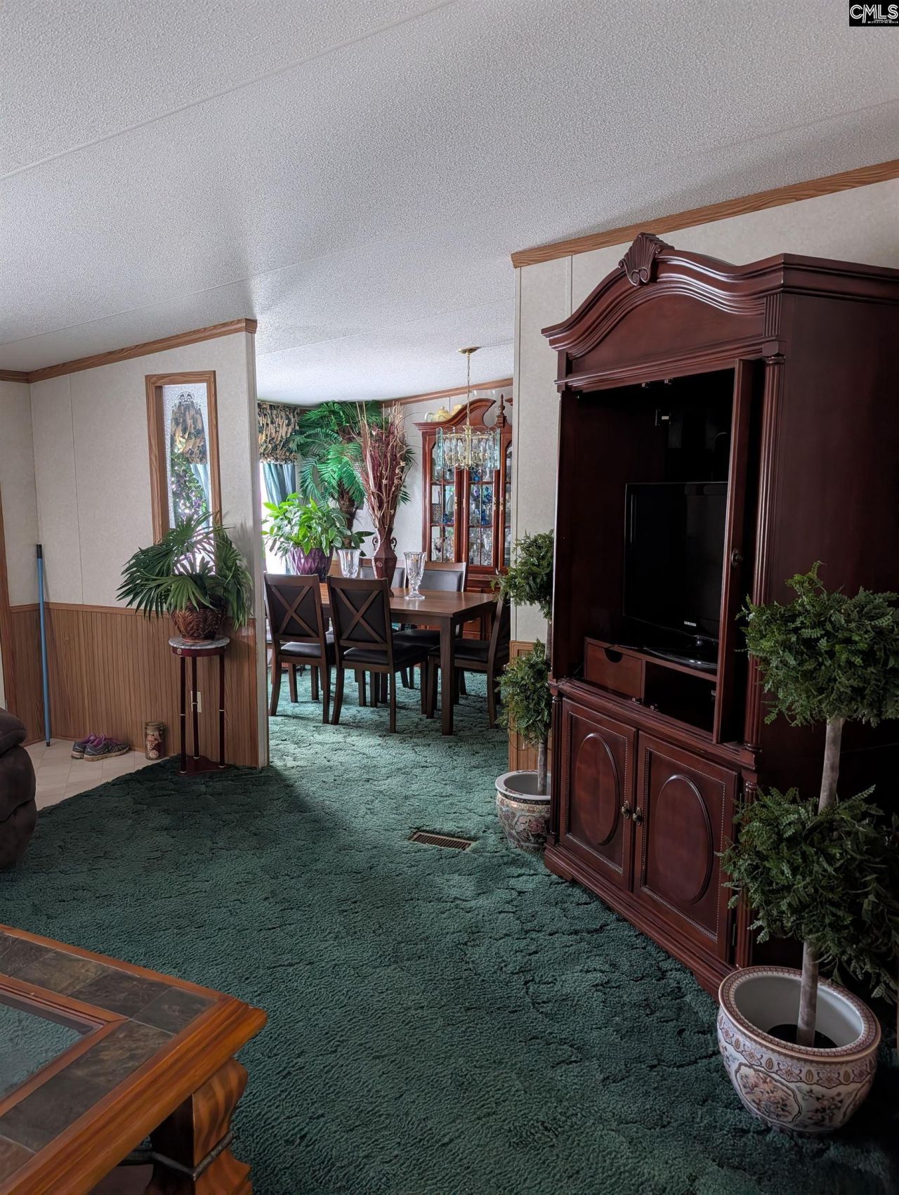 113 Hass Lucas Road  Photo 20