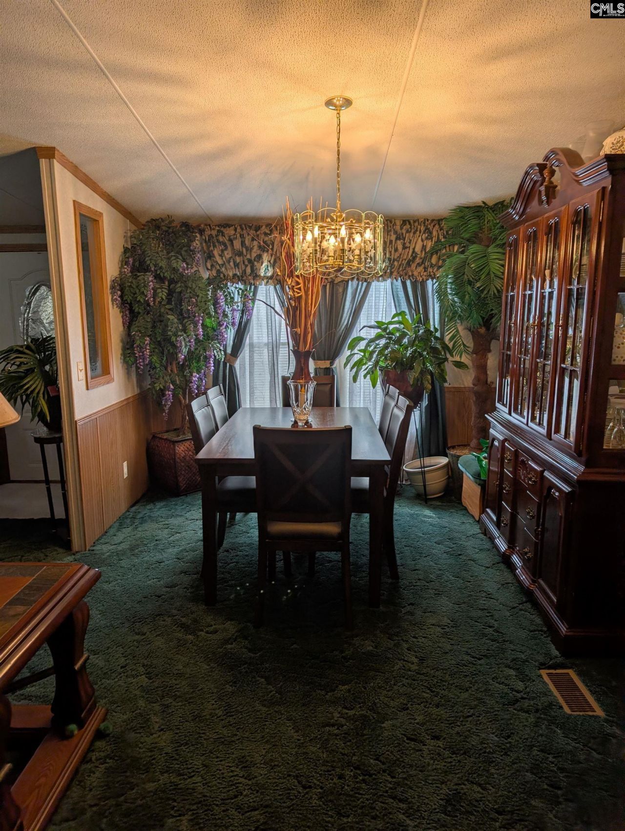 113 Hass Lucas Road  Photo 21