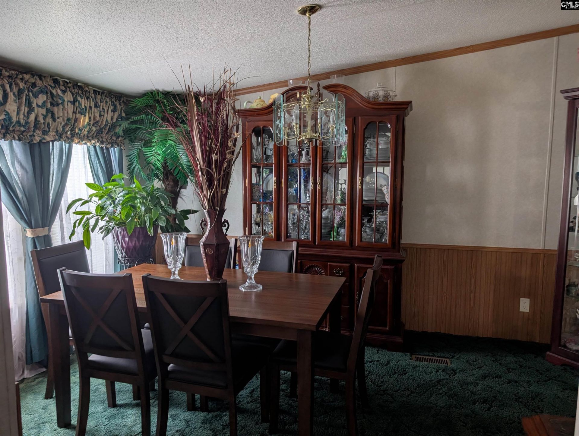 113 Hass Lucas Road  Photo 22
