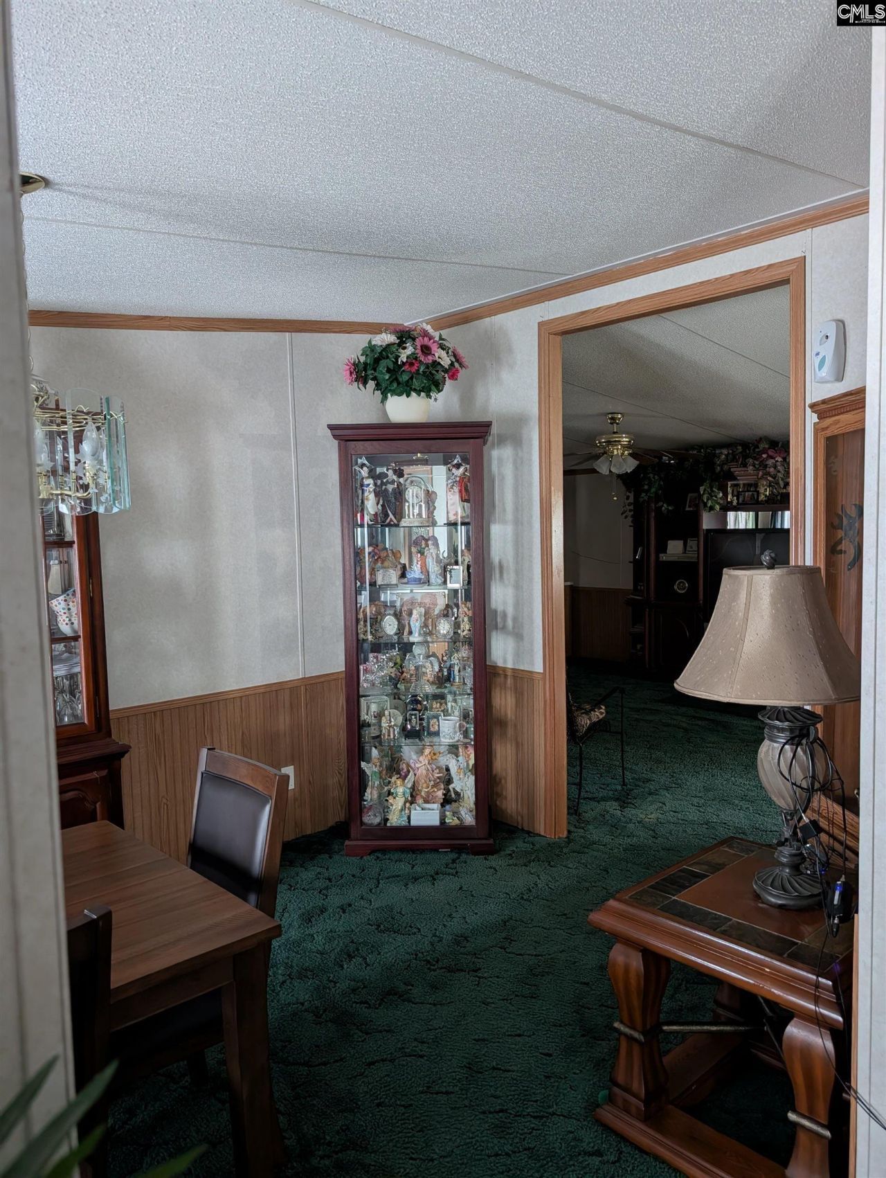 113 Hass Lucas Road  Photo 23