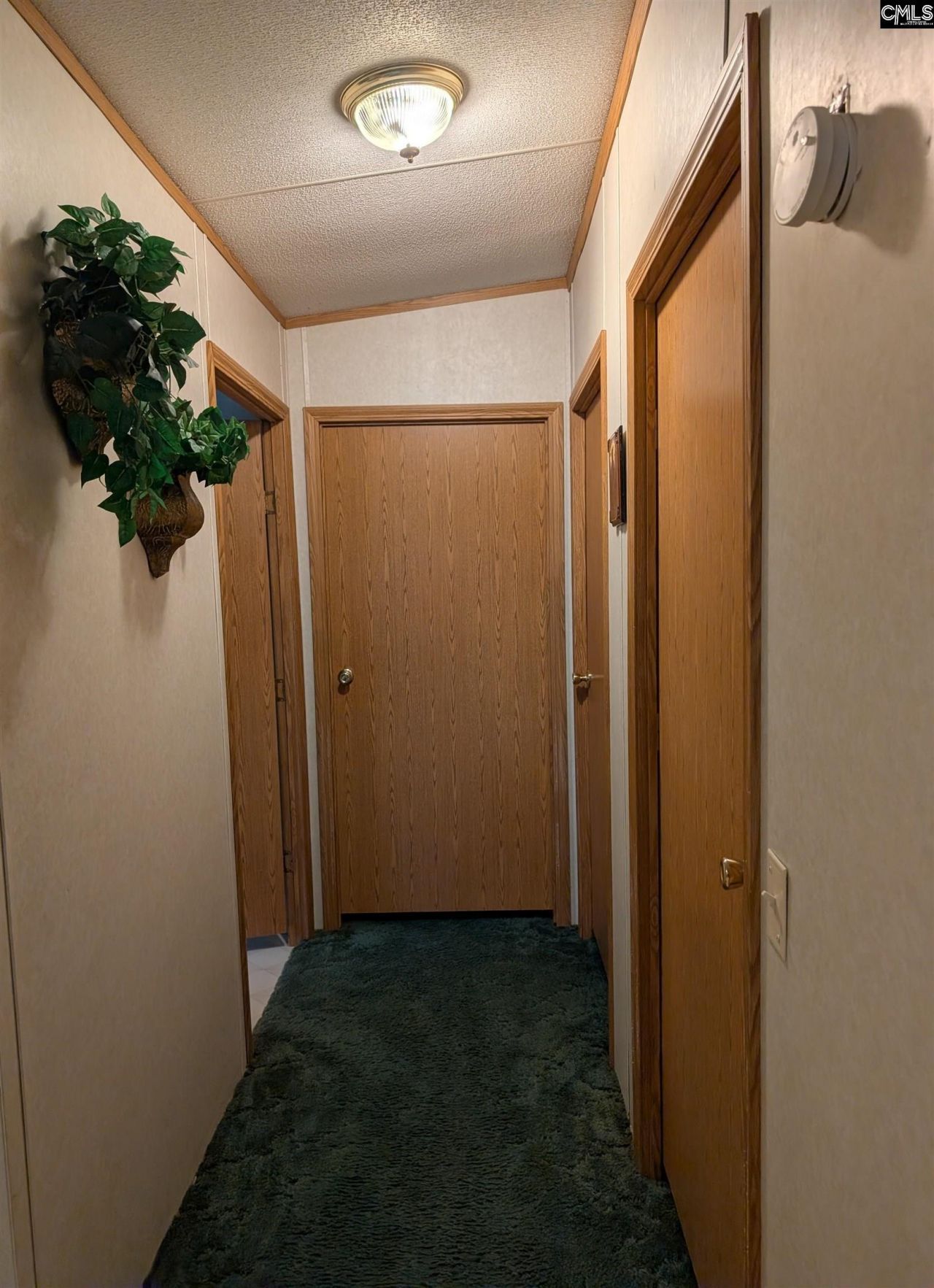 113 Hass Lucas Road  Photo 29