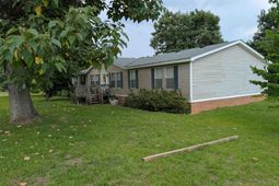 113 Hass Lucas Road  photo 4