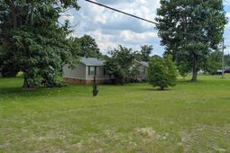 113 Hass Lucas Road  photo 4