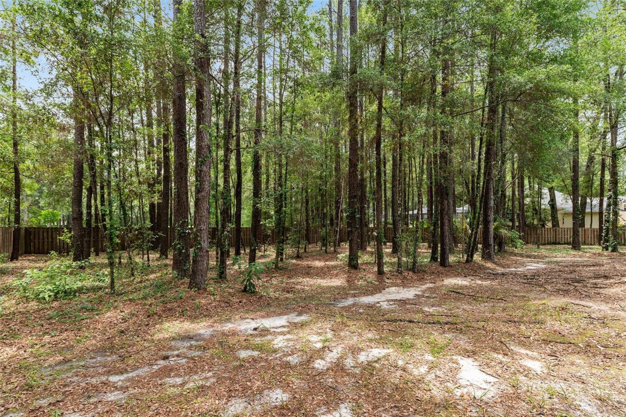 10511 SW 17th Place , Gainesville, FL 32607 Photo