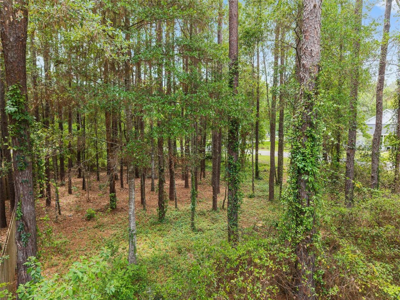 10511 SW 17th Place , Gainesville, FL 32607 Photo