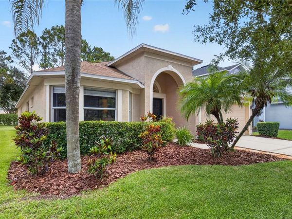 19305 SEA MIST LANE , LUTZ, FL 33558