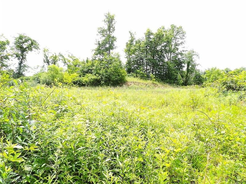 46390 State Route 536, Woodsfield, OH 43793 Photo 33