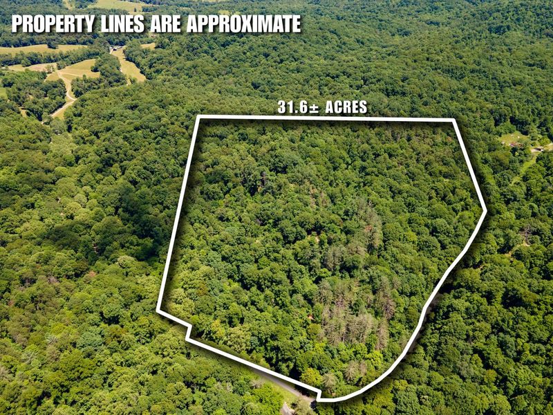 0 Long Hollow Road, Pomeroy, OH 45769 Photo 1