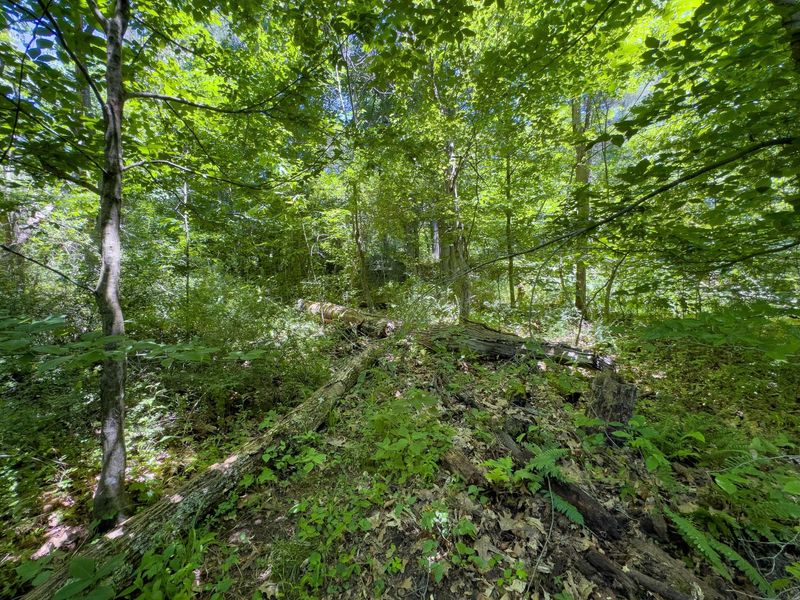 0 Long Hollow Road, Pomeroy, OH 45769 Photo 10