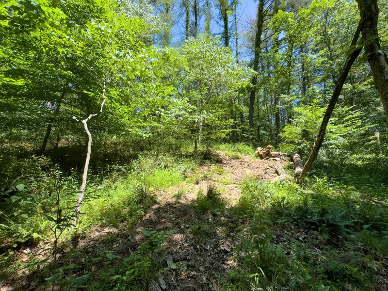 0 Long Hollow Road, Pomeroy, OH 45769 Photo 11