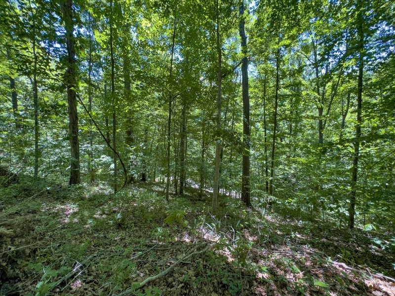 0 Long Hollow Road, Pomeroy, OH 45769 Photo 12