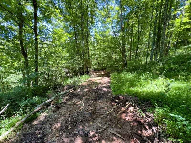 0 Long Hollow Road, Pomeroy, OH 45769 Photo 13