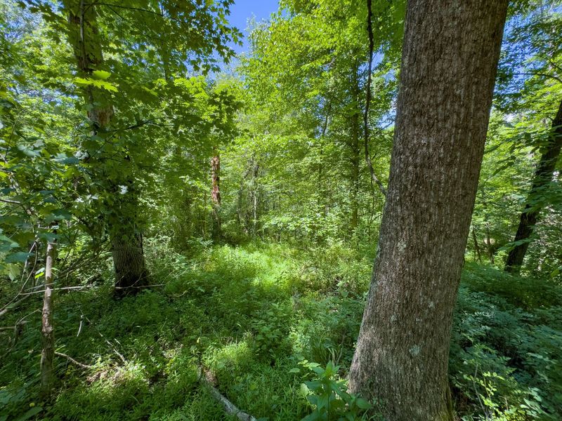 0 Long Hollow Road, Pomeroy, OH 45769 Photo 15