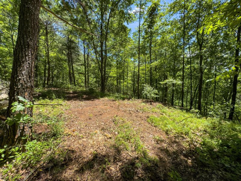 0 Long Hollow Road, Pomeroy, OH 45769 Photo 16