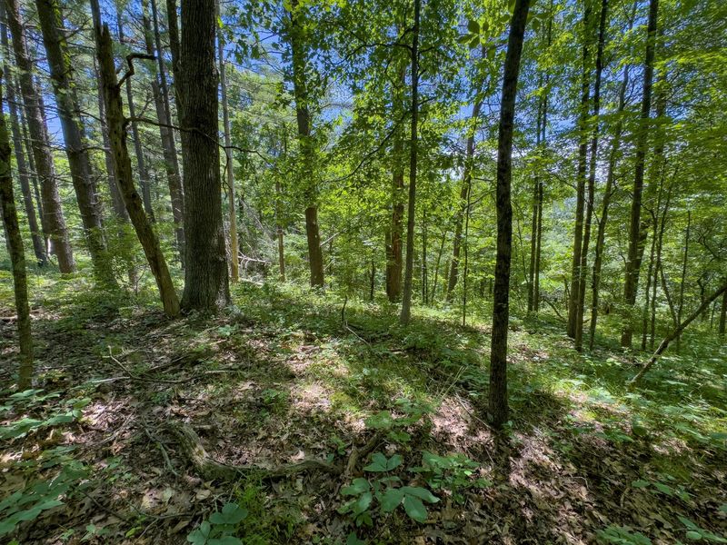 0 Long Hollow Road, Pomeroy, OH 45769 Photo 17