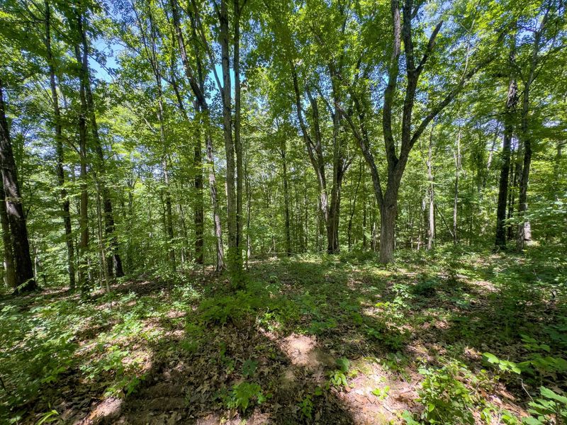 0 Long Hollow Road, Pomeroy, OH 45769 Photo 18