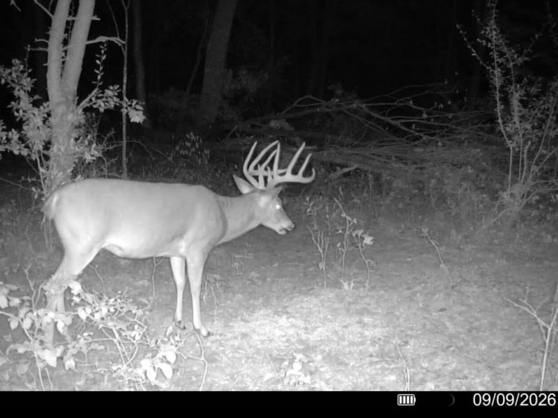 0 Long Hollow Road, Pomeroy, OH 45769 Photo 2