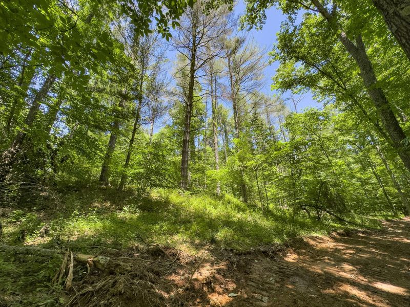 0 Long Hollow Road, Pomeroy, OH 45769 Photo 20