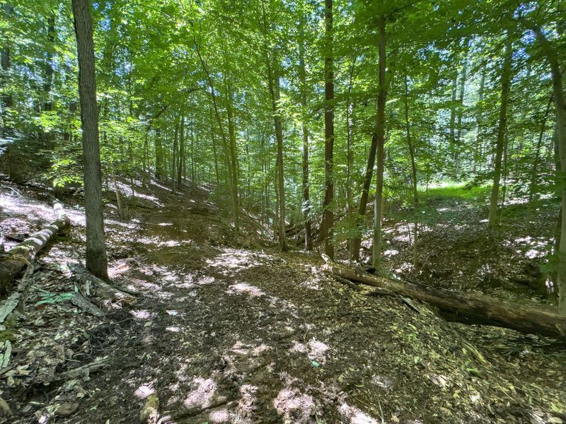 0 Long Hollow Road, Pomeroy, OH 45769 Photo 22