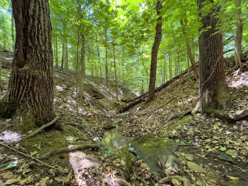 0 Long Hollow Road, Pomeroy, OH 45769 Photo 23