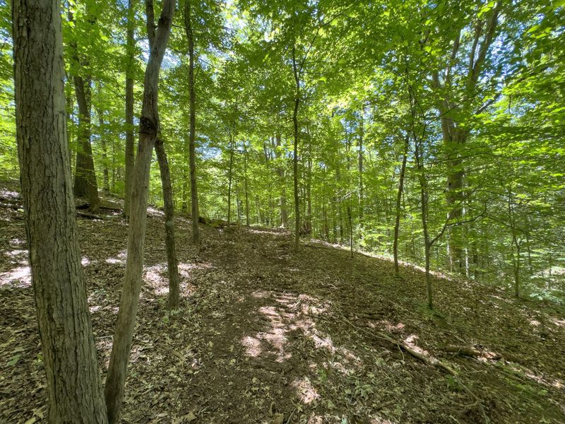 0 Long Hollow Road, Pomeroy, OH 45769 Photo 24
