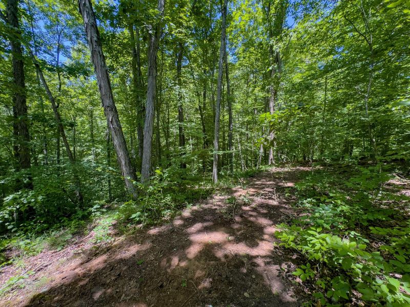 0 Long Hollow Road, Pomeroy, OH 45769 Photo 25
