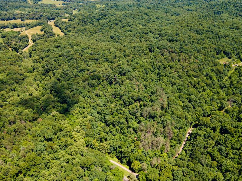 0 Long Hollow Road, Pomeroy, OH 45769 Photo 28