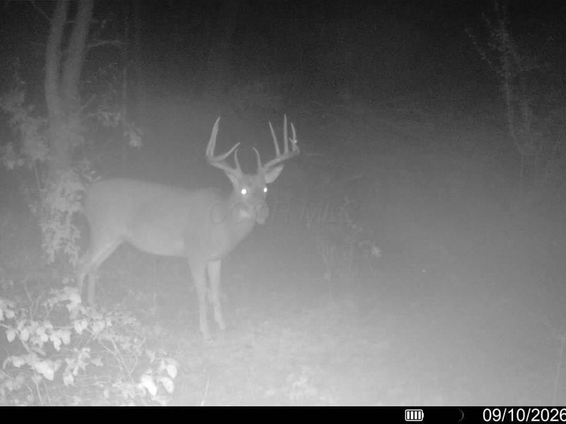 0 Long Hollow Road, Pomeroy, OH 45769 Photo 3