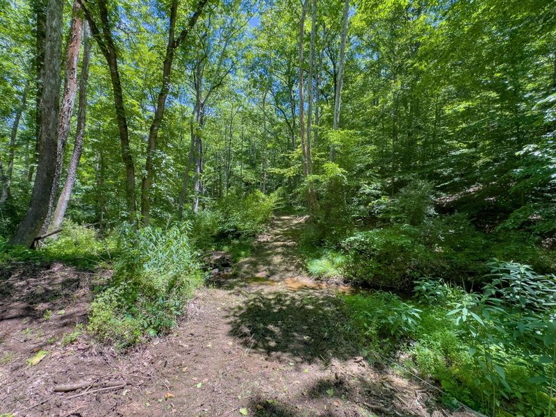 0 Long Hollow Road, Pomeroy, OH 45769 Photo 30
