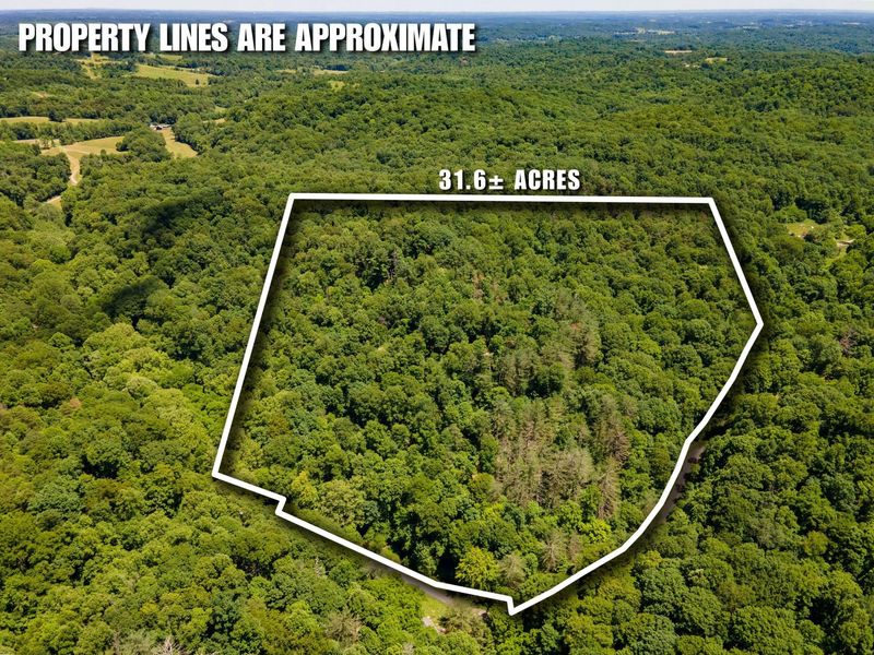 0 Long Hollow Road, Pomeroy, OH 45769 Photo 31
