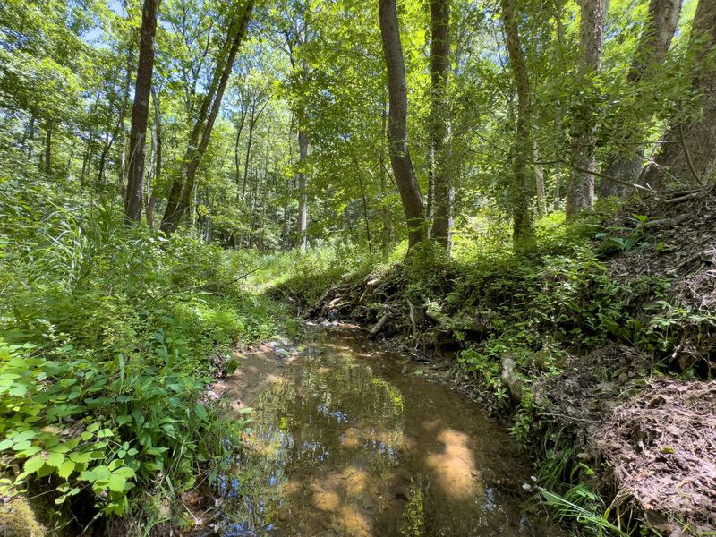 0 Long Hollow Road, Pomeroy, OH 45769 Photo 4