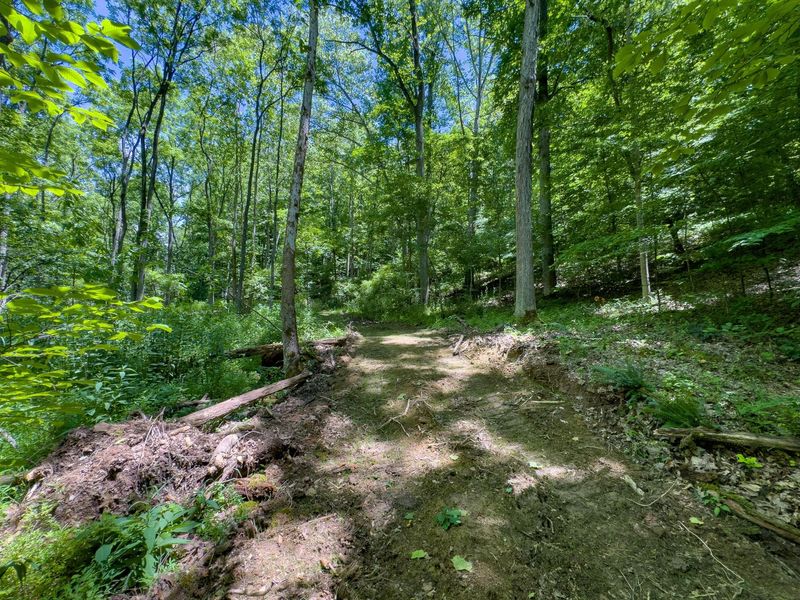 0 Long Hollow Road, Pomeroy, OH 45769 Photo 5
