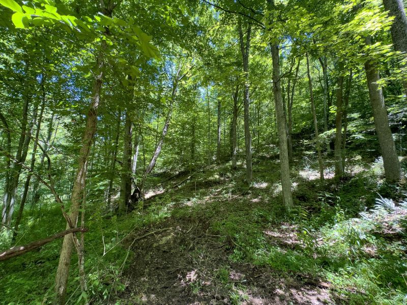 0 Long Hollow Road, Pomeroy, OH 45769 Photo 6
