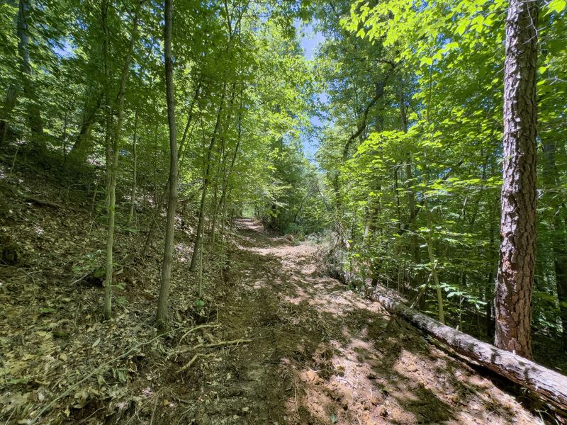 0 Long Hollow Road, Pomeroy, OH 45769 Photo 7