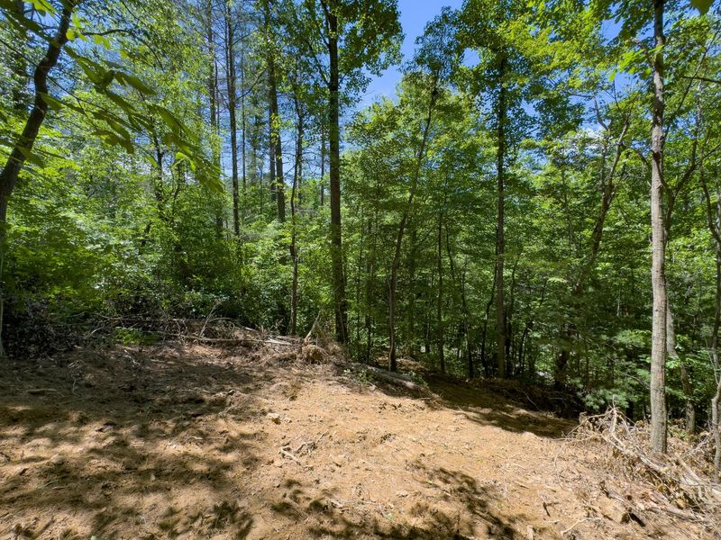 0 Long Hollow Road, Pomeroy, OH 45769 Photo 9
