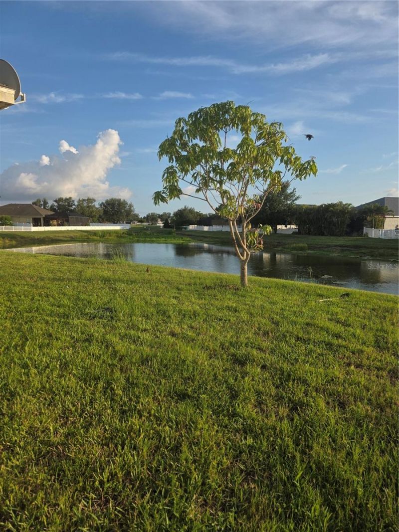 2719 46th Street E, Palmetto, FL 34221 Photo