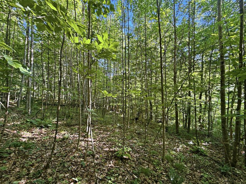 0 State Route 140, South Webster, OH 45682 Photo 10