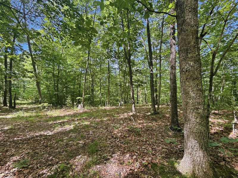 0 State Route 140, South Webster, OH 45682 Photo 32