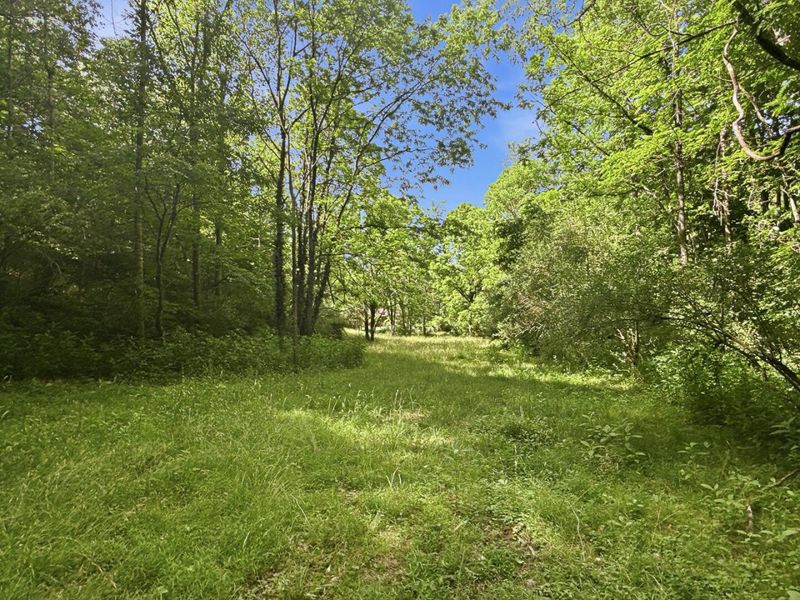 0 State Route 140, South Webster, OH 45682 Photo 39