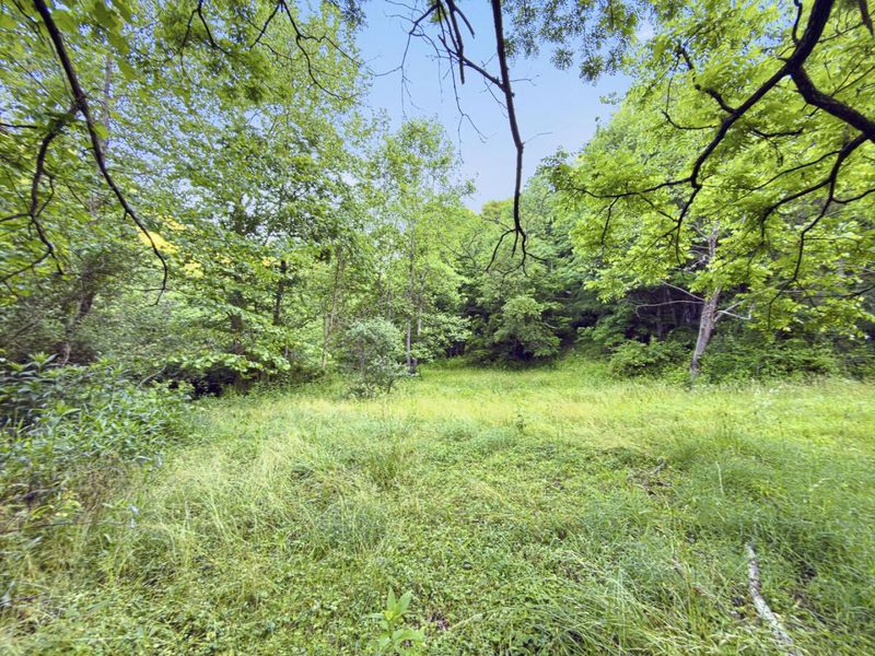 0 State Route 140, South Webster, OH 45682 Photo 4