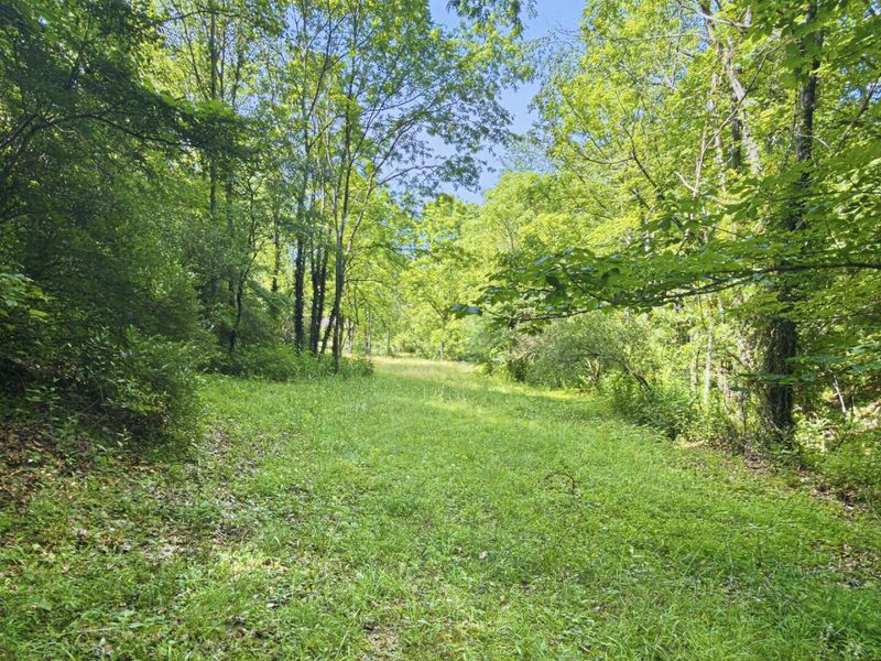0 State Route 140, South Webster, OH 45682 Photo 40