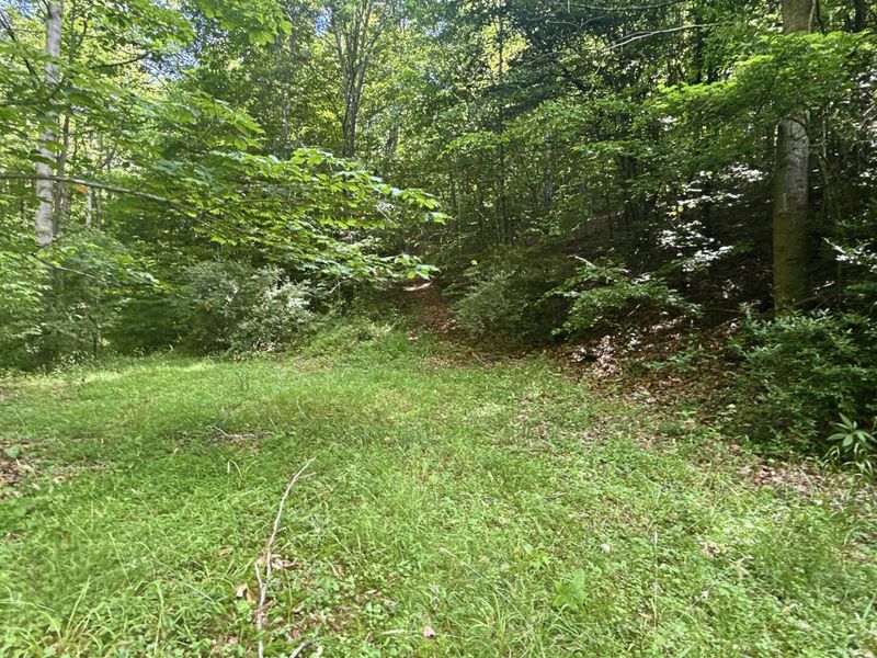 0 State Route 140, South Webster, OH 45682 Photo 41