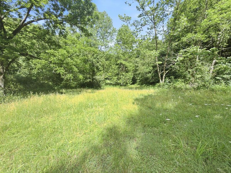 0 State Route 140, South Webster, OH 45682 Photo 43