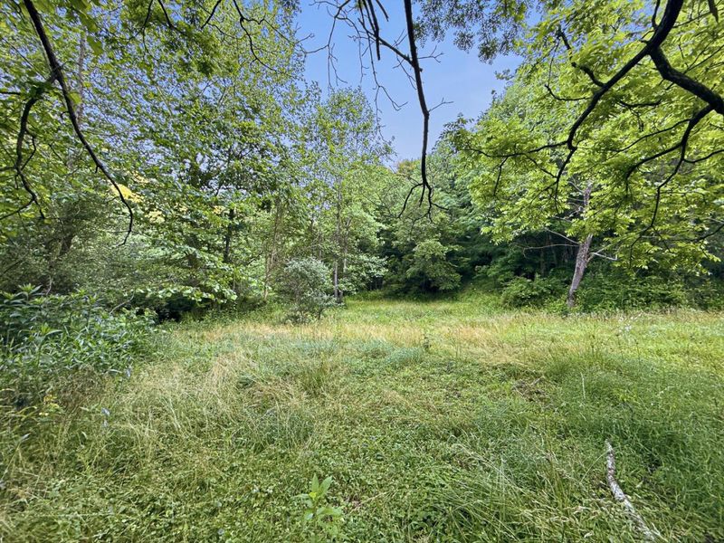 0 State Route 140, South Webster, OH 45682 Photo 6