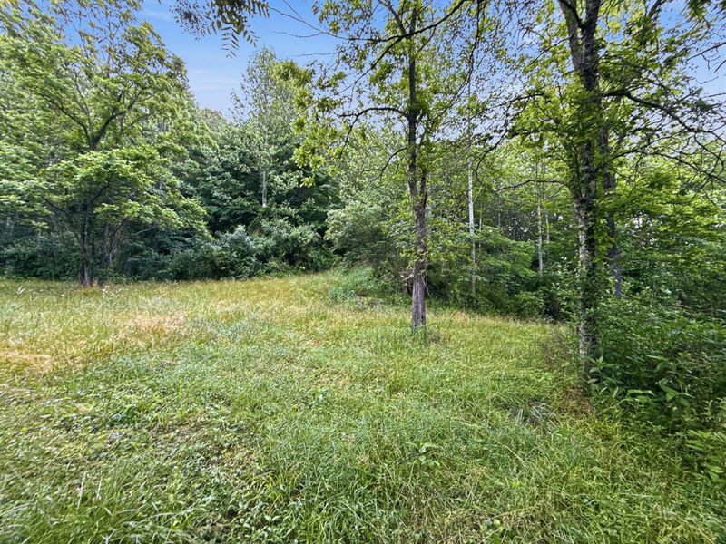 0 State Route 140, South Webster, OH 45682 Photo 7