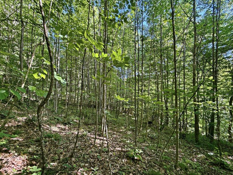 0 State Route 140, South Webster, OH 45682 Photo 8