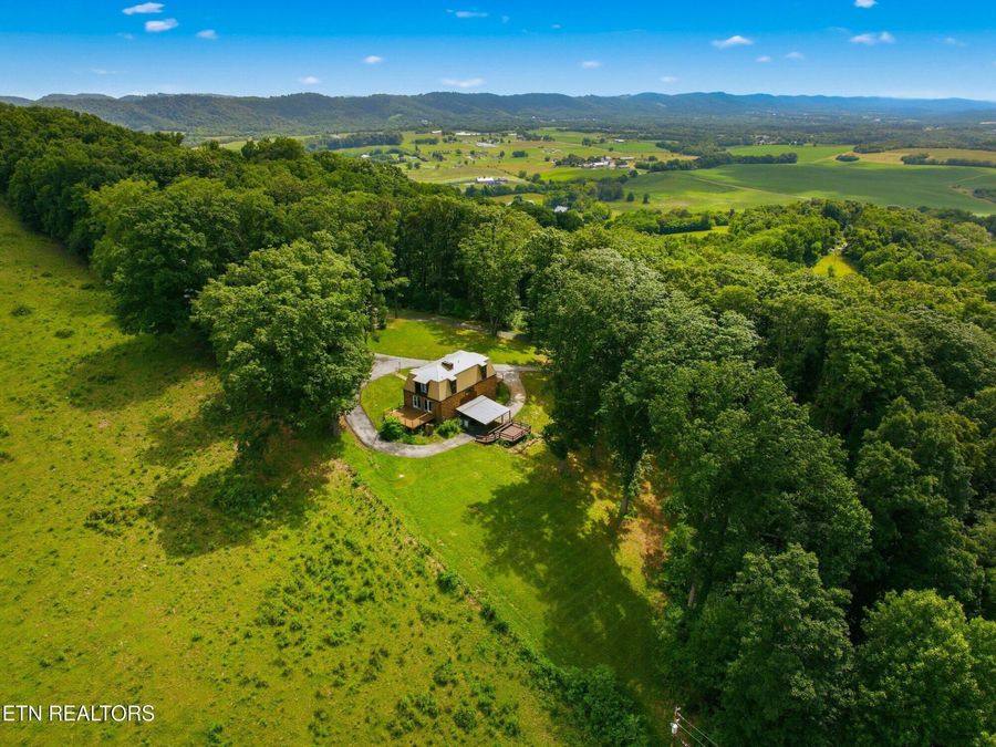 Property Image 45