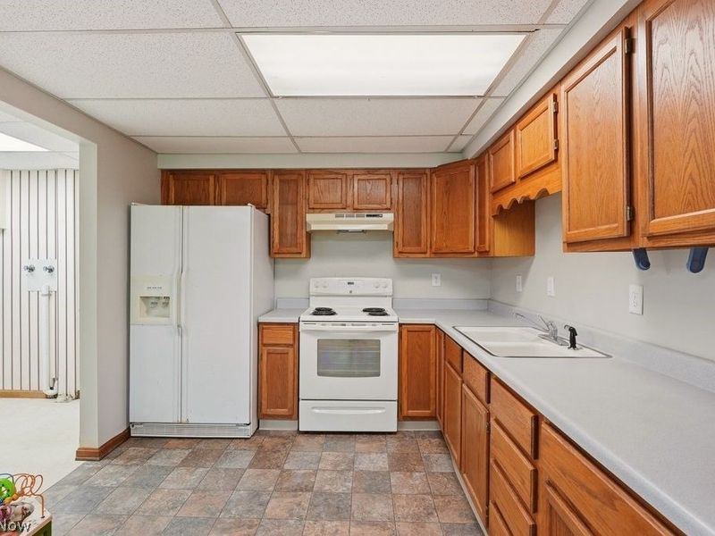 3731 Fortuna Drive, Akron, OH 44312 Photo 29