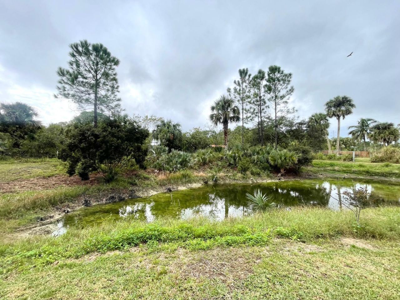 15780 N 99th St Street N, Unit 15780, The Acreage, FL 33412 Photo
